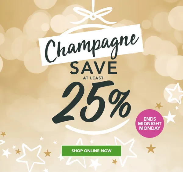 Majestic Wine champagne campaign banner